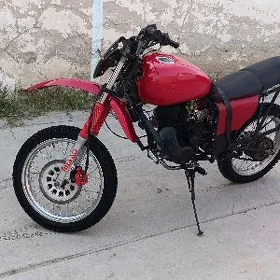 Fekon FK200-14G 2025