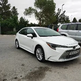 Toyota Corolla 2021