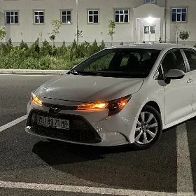 Toyota Corolla 2023