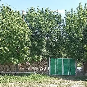 satlyk daça