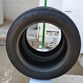 TEKER 16lyk