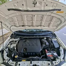 Toyota Corolla 2011