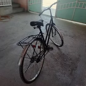 yaponsky tigir