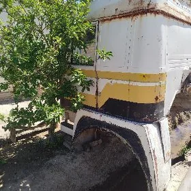 Man kabina