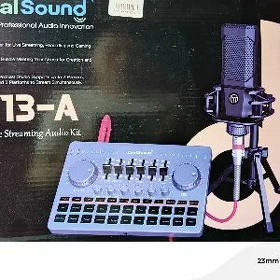 Audiokart Plata Mikrafon Paket