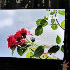 телевизор TCL андроид 40
