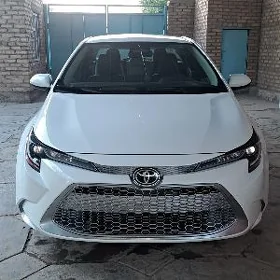Toyota Corolla 2025