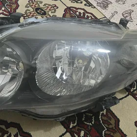Carolla sklas fara