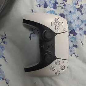 dualsen 5 1.1kopiya