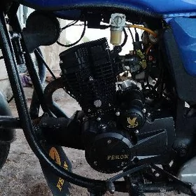 Fekon FK150-8G 2026
