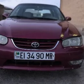 Toyota Corolla 2001