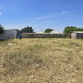 Satlyk Daca 9komsar