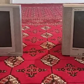 Telewizor