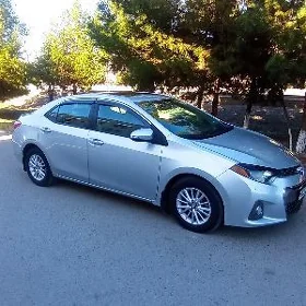Toyota Corolla 2014
