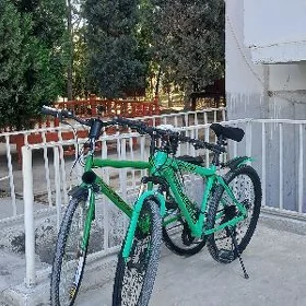 Turkmenistan tigir