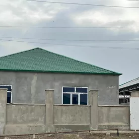Anew magtumguly