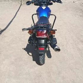 Fekon FK200-14G 2014