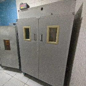 инкубатор