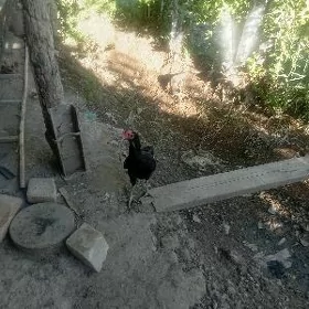 Baýsow jüje