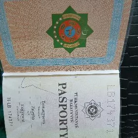 Pasport taptym