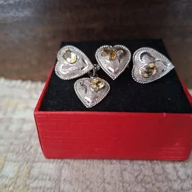 Kümüş kamplekt