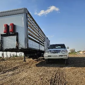 Kogel Euro Trailer 2022