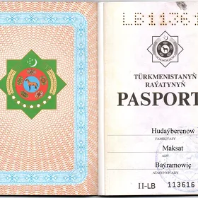 Pasport yitdi