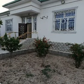 Taze zaman ️тазе заман