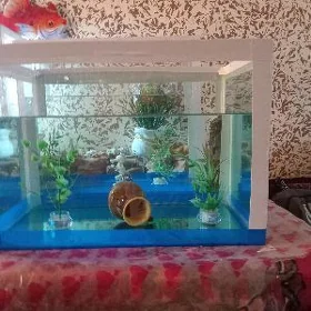 АКВАРИУМ