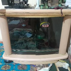 telewizor goyulyan