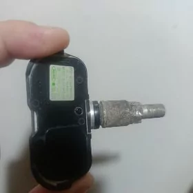 Ýel datçik