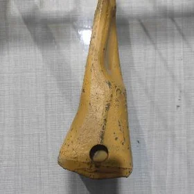 Diş