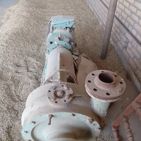 Elektrodwigatelli suw nasos