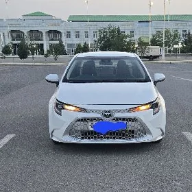 Toyota Corolla 2020
