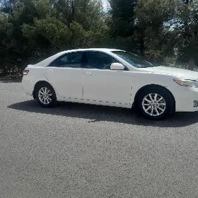 Toyota Camry 2010