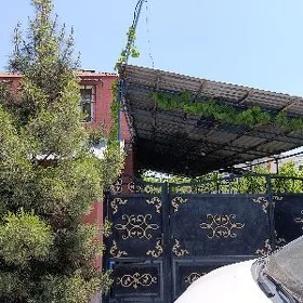 Saglyk daca