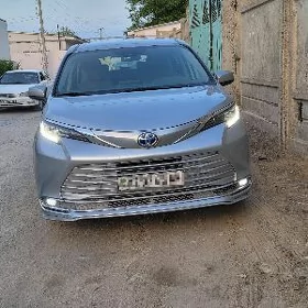 Waditil simeni