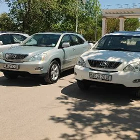 Lexus RX 330 2004