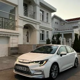Toyota Corolla 2020