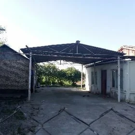 Gawers sahra obasy satlyk jay