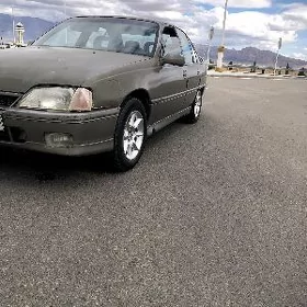 Opel Omega 1991