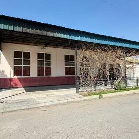SATLYK KAFE