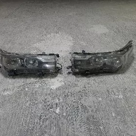 Carolla haliji fara 14-15