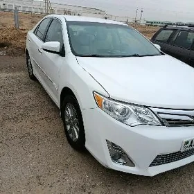 Toyota Camry 2013