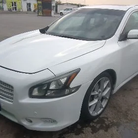Nissan Maxima 2010