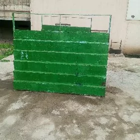 Satlyk zat goyyan polka