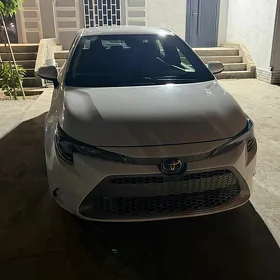 Toyota Corolla 2020