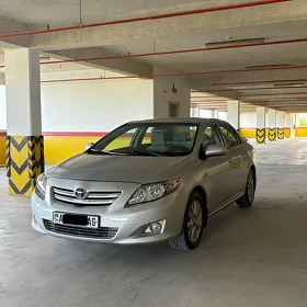 Toyota Corolla 2010