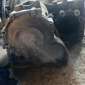 karobka carolla echo
