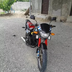 Fekon FK150-8G 2016